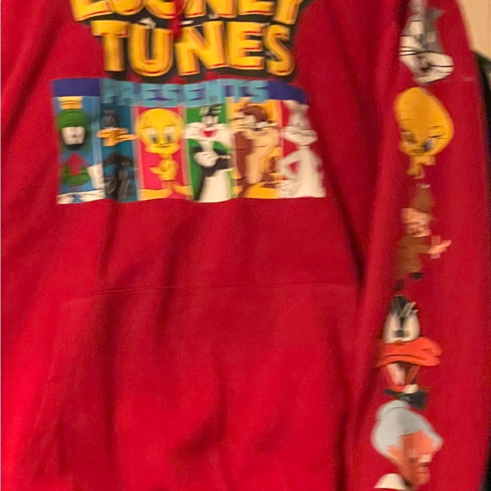 Sweatsuits - Picture 12 of 16